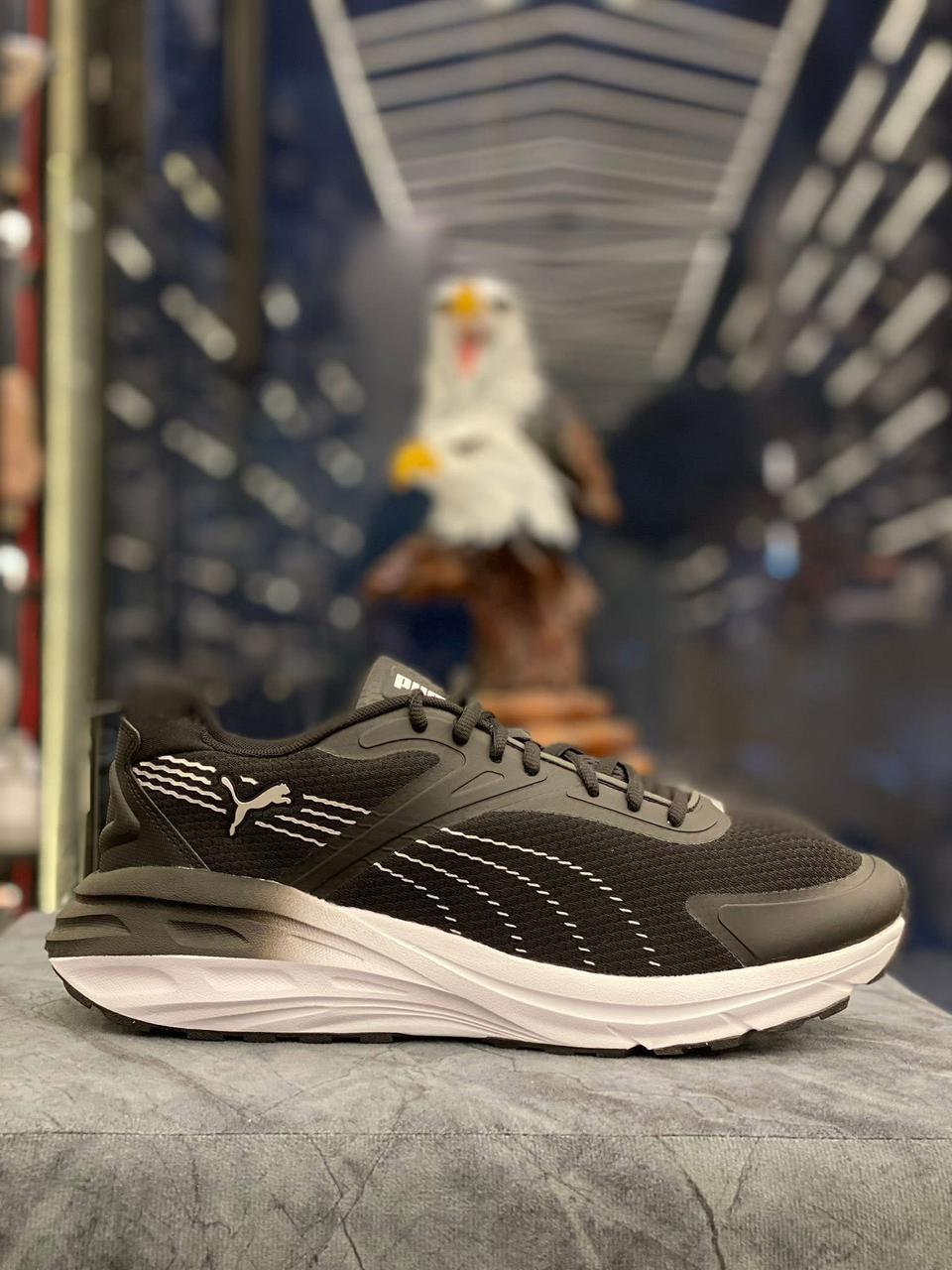 شوز puma original