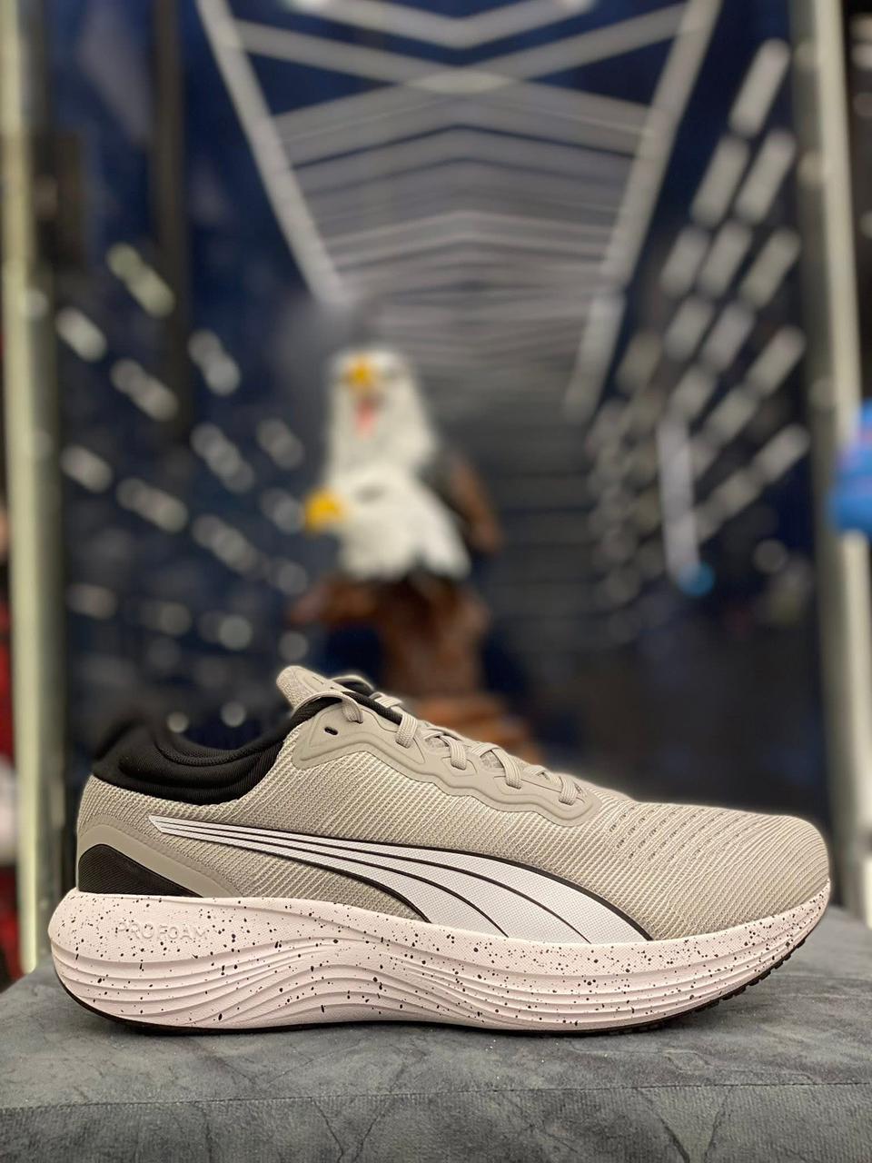 شوز puma original