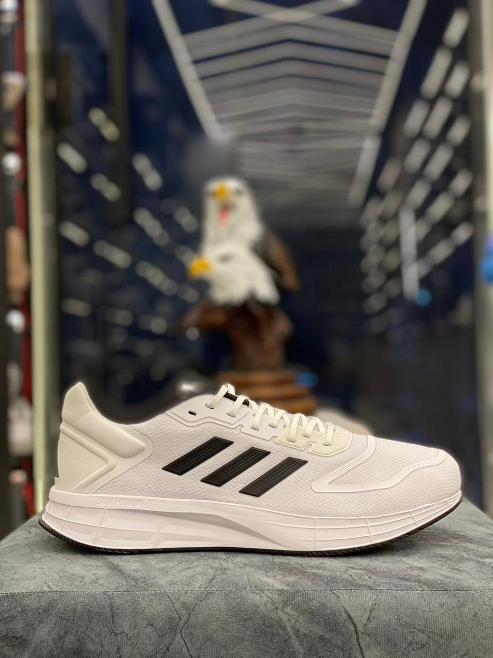 شوز adidas original