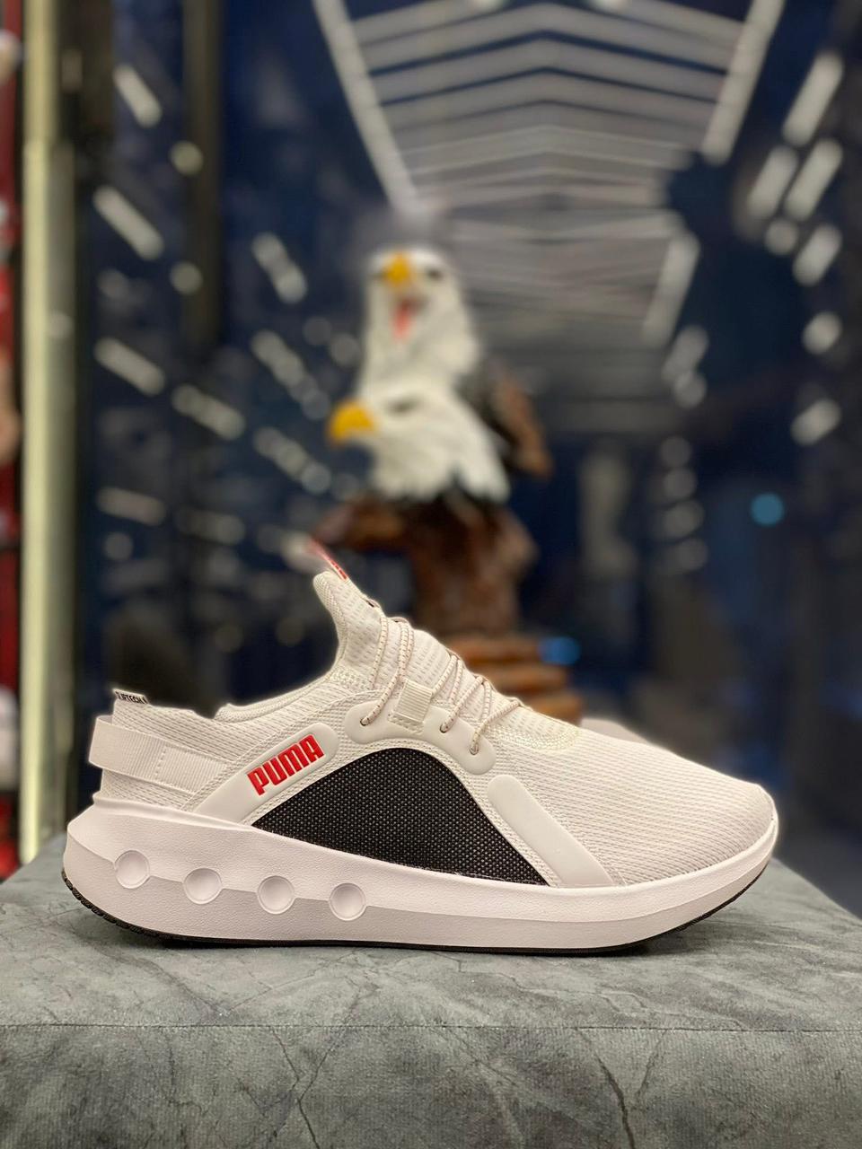 شوز puma original